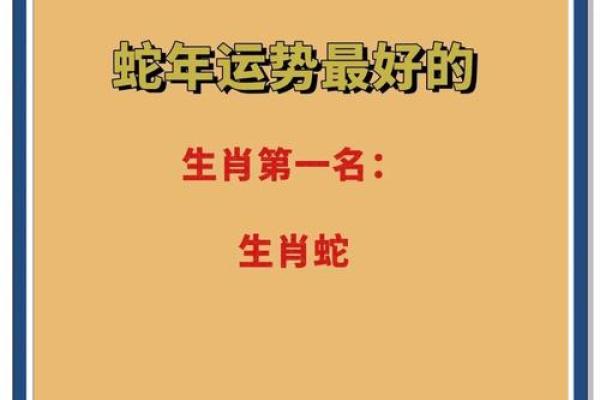 属蛇人2025年能上坟吗_2025年属蛇人清明扫墓宜忌解析运势指南与注意事项
