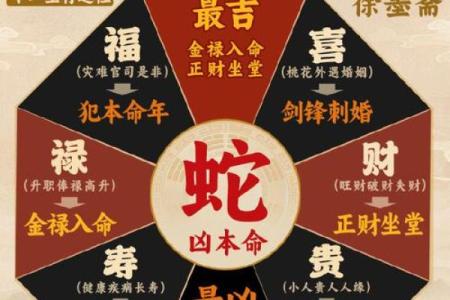 2025年元月生肖归属解析属龙还是属蛇