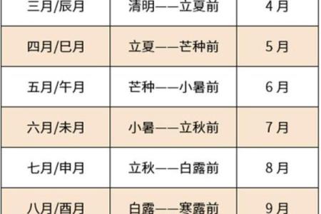 2000属龙几点出生最好 属龙不能生在几点