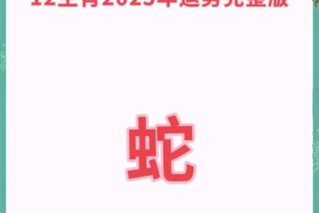 2025年属蛇人全年运势详解每月运程精准预测