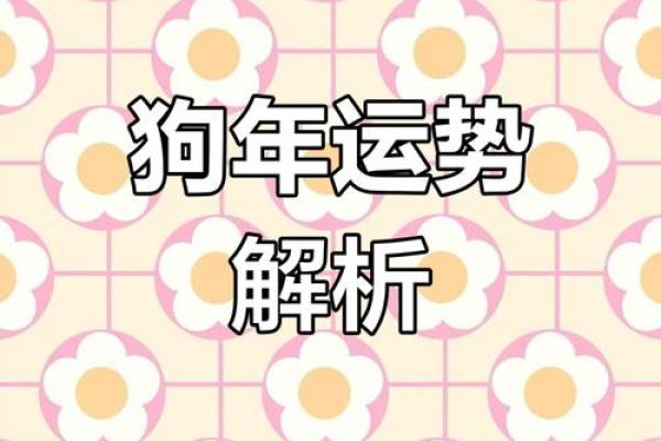 属狗2025年的运势及运程1970年_属狗的2025年运势如何 属狗2025年的运势及运程1970年_属狗的2025年运势如何