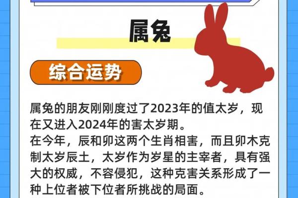 2025年属兔的好不好_2025年属兔的好不好 2025年属兔的好不好_2025年属兔的好不好