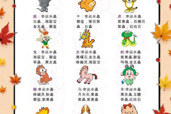 87年属兔适合佩戴什么水晶_87年属兔适合佩戴的水晶推荐及功效解析 87年属兔适合佩戴什么水晶_87年属兔适合佩戴的水晶推荐及功效解析