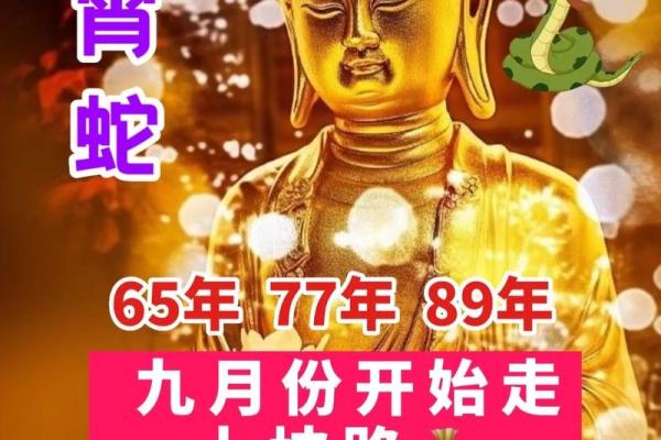 1952年属龙寿终_1952年属龙寿终是哪年 1952年属龙寿终_1952年属龙寿终是哪年