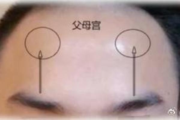 八座在父母宫_八座在父母宫代表什么 八座在父母宫_八座在父母宫代表什么