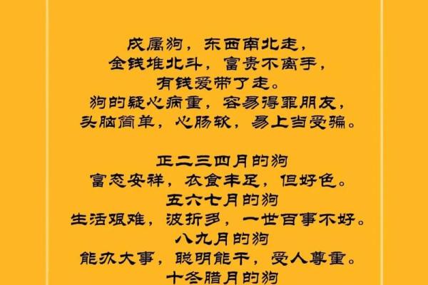 1970年属狗今年运势_70年女狗晚年靠谁养老 1970年属狗今年运势_70年女狗晚年靠谁养老