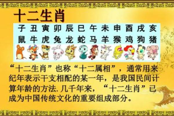 1996年2月4日属猪还是属鼠生肖年份解析 1996年2月4日属猪还是属鼠生肖年份解析