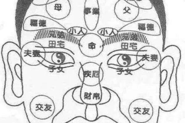 夫妻宫准确位置图_夫妻宫准确位置图揭秘婚姻运势的关键所在 夫妻宫准确位置图_夫妻宫准确位置图揭秘婚姻运势的关键所在