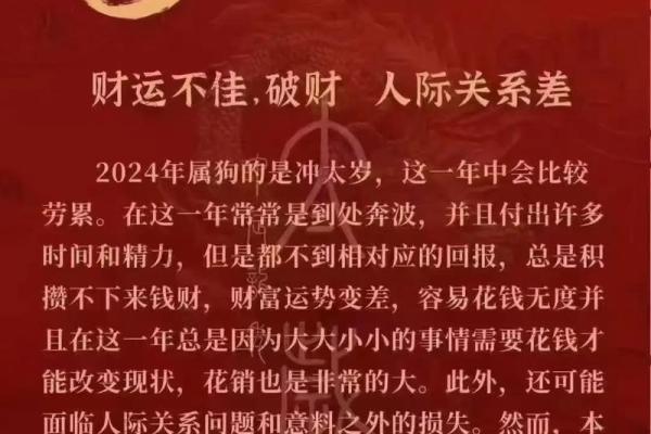 1982属狗女2025年运势及运程_1982属狗女2025年运势详解运程分析与建议 1982属狗女2025年运势及运程_1982属狗女2025年运势详解运程分析与建议