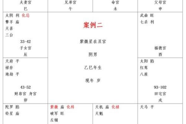 夫妻宫有紫微星的女人_紫微星入夫妻宫揭秘女人婚姻运势的关键 夫妻宫有紫微星的女人_紫微星入夫妻宫揭秘女人婚姻运势的关键