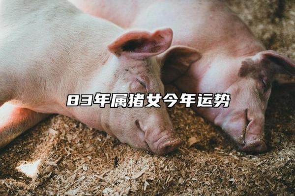 1983年出生属猪人的命运_1983年属猪一生的命运 1983年出生属猪人的命运_1983年属猪一生的命运