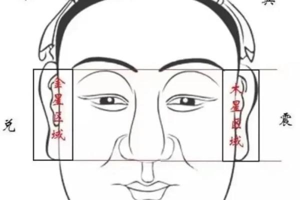 夫妻宫 夫妻宫解析揭秘婚姻运势与感情走向 夫妻宫 夫妻宫解析揭秘婚姻运势与感情走向