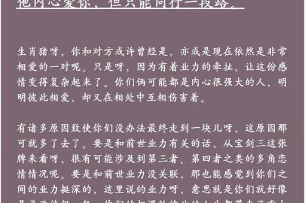 属猪和属猪的婚姻相配吗解析猪年夫妻的缘分与挑战