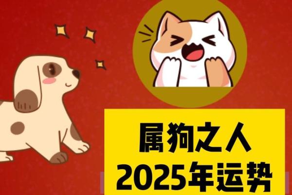 2026属狗人的全年运势_2025年属狗人全年运势及运程