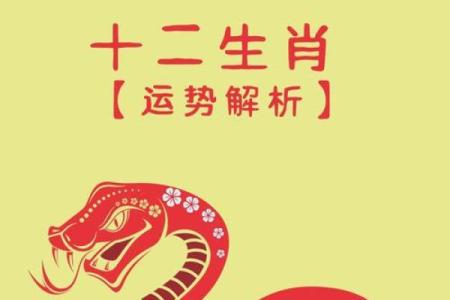 今年属兔的人运势怎样_今年属兔的人运势怎样2025