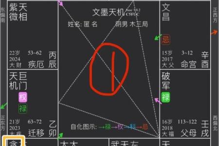 福德宫化忌入迁移宫_福德宫化忌入迁移宫迁移宫自化权