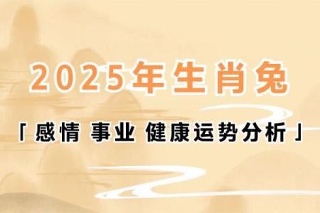 2025属兔用什么颜色最旺_2025属兔最旺颜色指南提升运势的幸运色