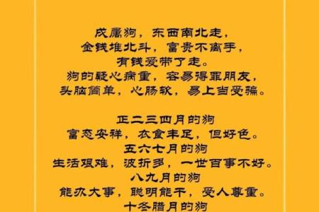 1970年属狗今年运势_70年女狗晚年靠谁养老