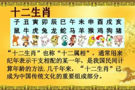 1996年2月4日属猪还是属鼠生肖年份解析