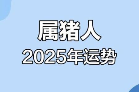 83年属猪男的2025年运势怎么样 2025年83年属猪男运势详解财运事业感情全解析