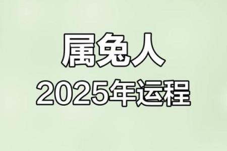 属兔2025运势_属兔2025运势及运程每月运程卜易居