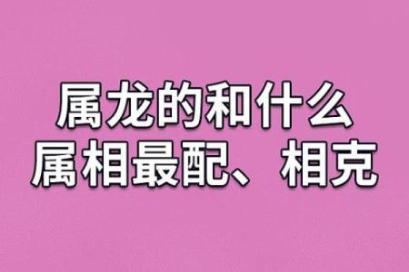 属猪跟属龙的相配吗 属猪和属龙相配吗生肖配对解析与婚姻建议