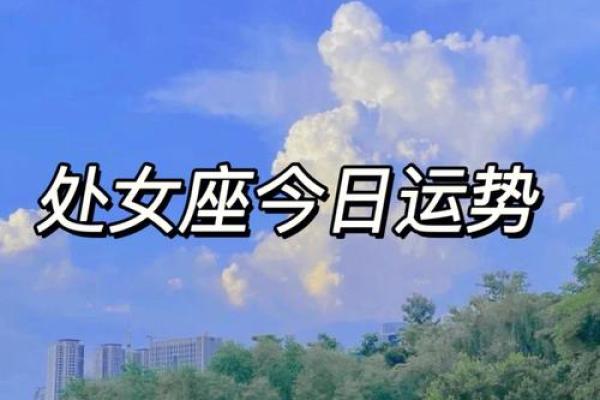 处女座后天的运势 处女座后天运势查询