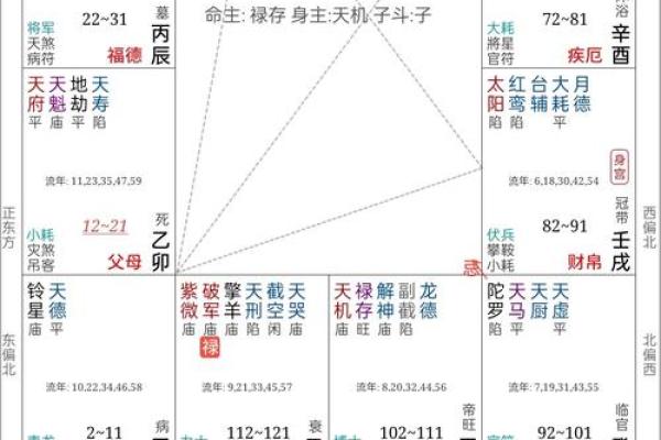 父母宫化忌 父母宫化忌入田宅宫