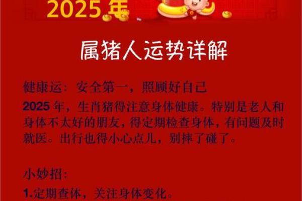 2025年属猪女运势详解财运爱情事业全面解析 2025年属猪女运势详解财运爱情事业全面解析