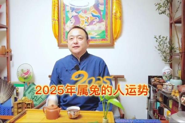 2025年属兔女_2025年属兔女运势解析事业爱情双丰收 2025年属兔女_2025年属兔女运势解析事业爱情双丰收