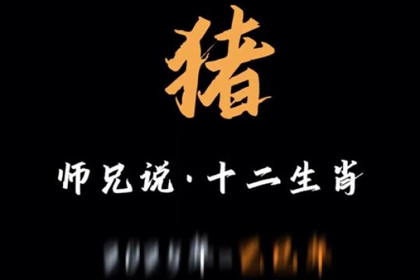 属猪的2025年多大了_属猪的2025年多大了 属猪的2025年多大了_属猪的2025年多大了