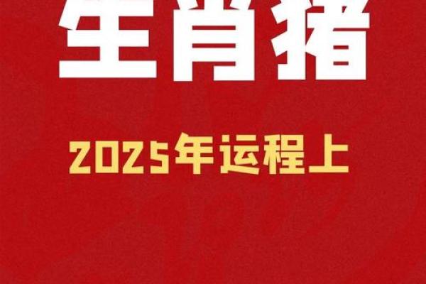 属猪的2025运势_2025年属猪人运势详解财运事业爱情全面解析 属猪的2025运势_2025年属猪人运势详解财运事业爱情全面解析