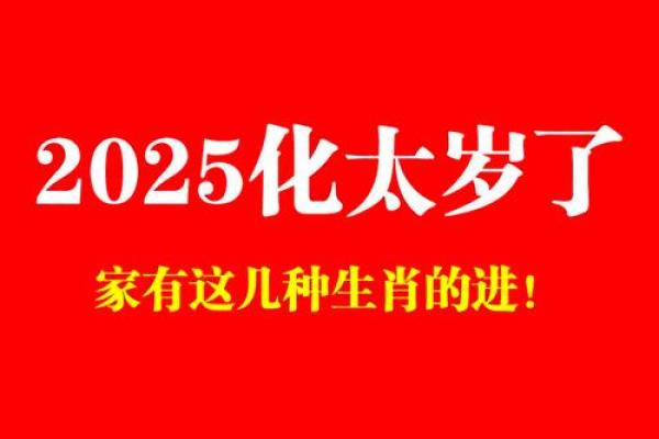 属兔人2025年运势预警灾难与化解之道 属兔人2025年运势预警灾难与化解之道
