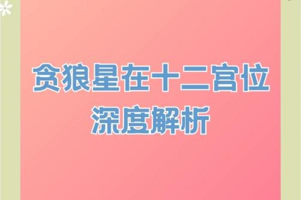 夫妻宫 贪狼_夫妻宫贪狼解析婚姻运势与情感指南 夫妻宫 贪狼_夫妻宫贪狼解析婚姻运势与情感指南