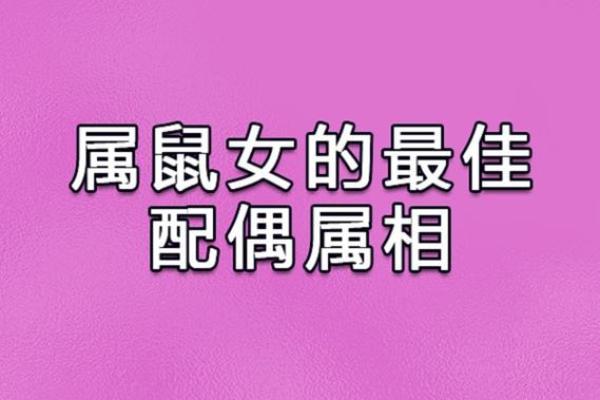 1996年2月属猪还是鼠_1996年属猪的最佳配偶 1996年2月属猪还是鼠_1996年属猪的最佳配偶