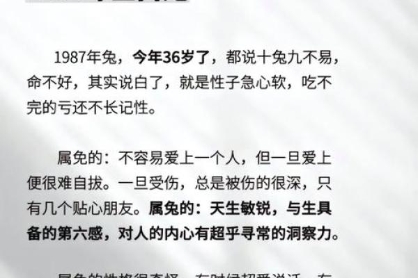 2025年兔运势运程1987年的兔_2025兔子的全年运势如何 2025年兔运势运程1987年的兔_2025兔子的全年运势如何