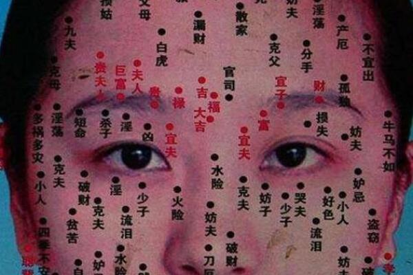 夫妻宫位置 夫妻宫位置图片