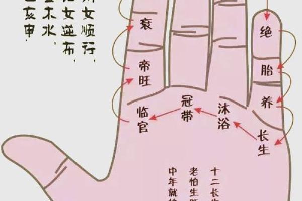 夫妻宫天相得什么意思 夫妻宫天相星最适合的结婚对象 夫妻宫天相得什么意思 夫妻宫天相星最适合的结婚对象