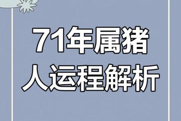1971年2024年属猪人的全年运势_1971年猪人2022年运势 1971年2024年属猪人的全年运势_1971年猪人2022年运势
