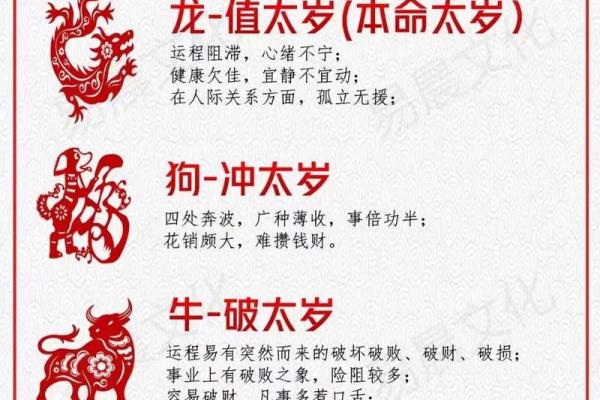 2025属猪犯太岁_2025属猪犯太岁是什么意思 2025属猪犯太岁_2025属猪犯太岁是什么意思