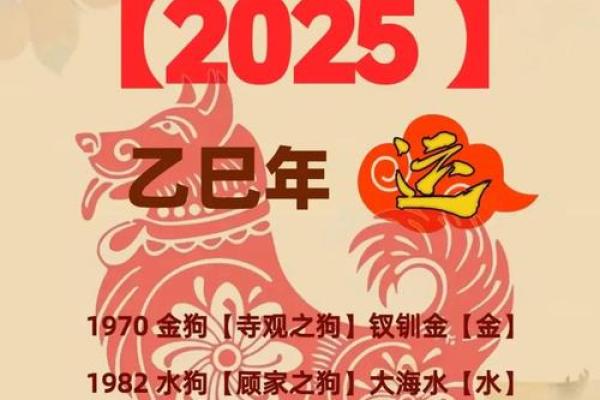 属狗2025年运势及运程 2025年属狗运势详解全年运程大揭秘 属狗2025年运势及运程 2025年属狗运势详解全年运程大揭秘