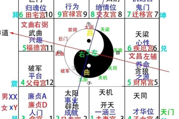 八字父母宫详解揭秘命理中的亲情密码
