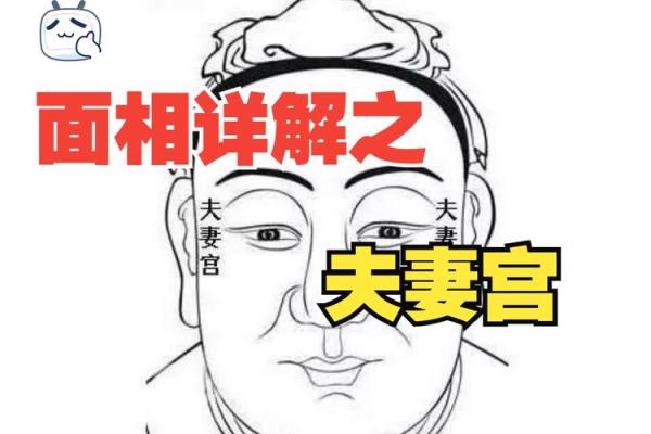 八字夫妻宫在哪_八字夫妻宫位置解析如何准确找到你的婚姻宫位