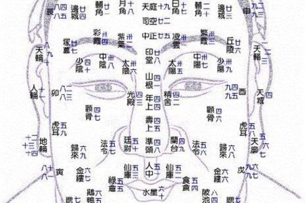 夫妻宫乙丑是什么意思_夫妻宫是乙卯 夫妻宫乙丑是什么意思_夫妻宫是乙卯