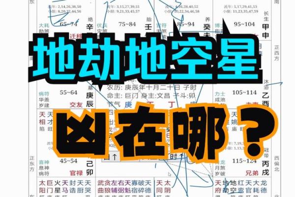 福德宫地空入庙 福德宫地空入庙红鸾