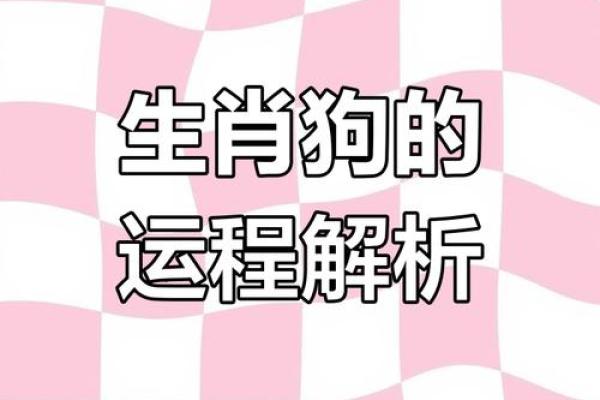 2025年属相狗运势_2025年属相狗运势详解财运事业感情全解析 2025年属相狗运势_2025年属相狗运势详解财运事业感情全解析