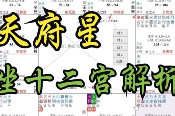 福德宫四化入十二宫的情况_福德宫四化入十二宫详解命理玄机与运势解析 福德宫四化入十二宫的情况_福德宫四化入十二宫详解命理玄机与运势解析