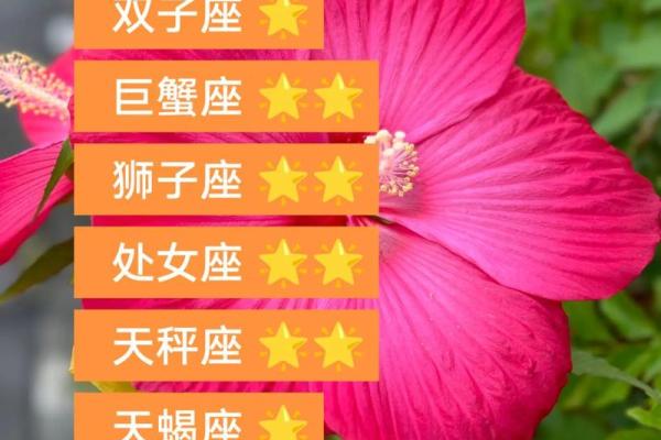 2025年4月3日金牛座女生今日运势