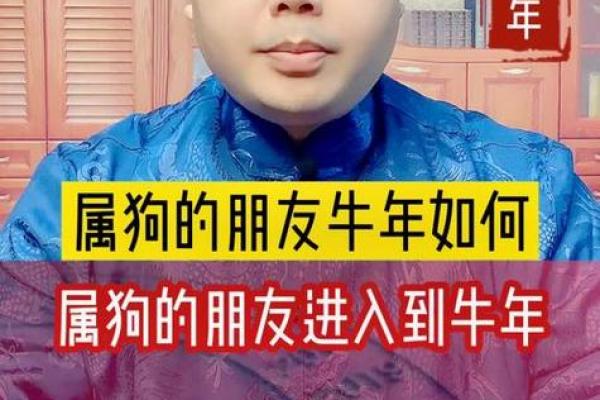 1982属狗女2025年运势完整版 1982属狗43岁桃花劫 1982属狗女2025年运势完整版 1982属狗43岁桃花劫