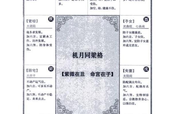 2025年3月23日寅时男命紫微斗数全解盘 2025年3月23日寅时男命紫微斗数全解盘